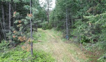 Nhn US Hwy 93, Big Arm, MT 59910