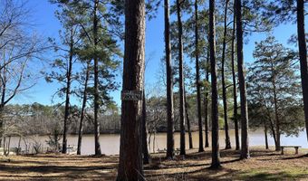 N Forty lot 3, Alexander City, AL 35010