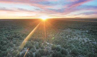 S Carson Road 39 Acres, Carson, NM 87517