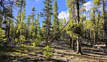 PCS # 7765 & 12057 Rollies Trail lot 0, Alma, CO 80420