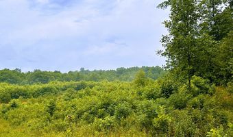 13 44 Ac Chestnut Ridge Rd, Allardt, TN 38504