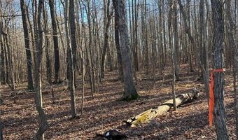 32-1 5 Patrick Henry Hwy, Amelia, VA 23002