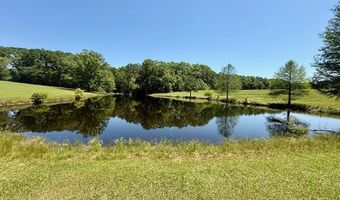 60327 Highway 445, Amite, LA 70422