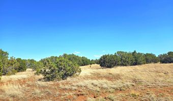 20 CO Rd, Concho, AZ 85924