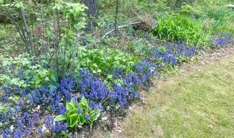 7051 WOODLAND Ln, Amherst, WI 54406