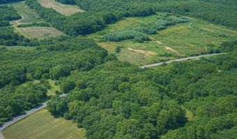 40 8 Acres Johnson Bridge Rd, Ariton, AL 36311