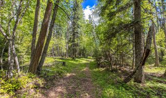Nhn Red Hawk Drive, Bigfork, MT 59911