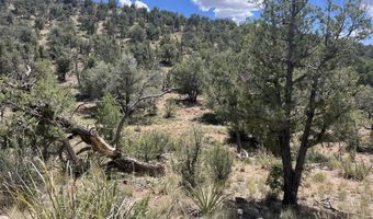 109 Of Twin Fawn Ln, Ash Fork, AZ 86320