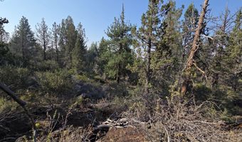 Cathy Way lot 21-23, Beatty, OR 97621