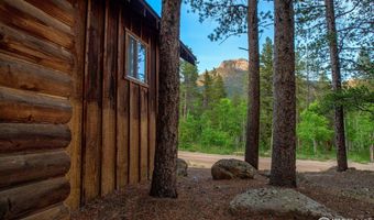 1217 Big Owl Rd, Allenspark, CO 80510