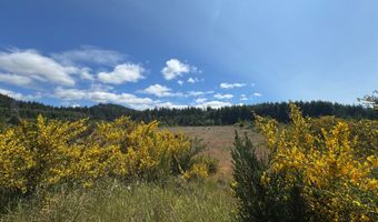 87503 UPPER FOURMILE Ln, Bandon, OR 97411