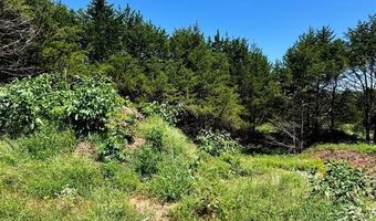 8 Dynamite Rd, Agra, OK 74824