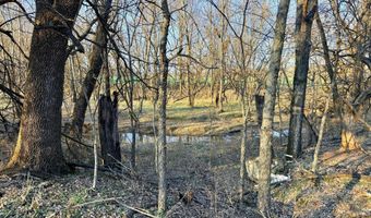 0002 CR-290, Asbury, MO 64832