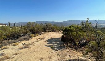 61700 Indian Paint Brush Rd, Anza, CA 92539