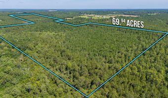 31 Acres Canyon Trl, Baker, FL 32531