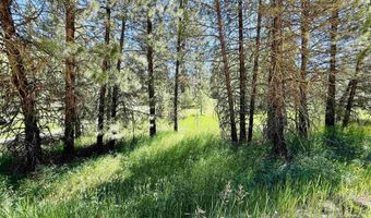 93 E Prospectors, Cascade, ID 83611