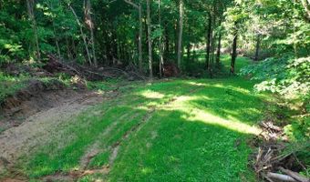 Sandy Branch Road, Bardwell, KY 42023