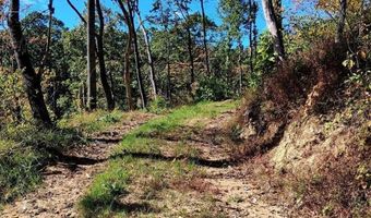 0 Mount Horeb Rd, Amherst, VA 24521