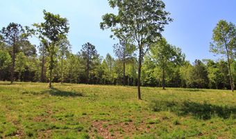 Tower Hill Rd, Appomattox, VA 24522