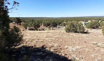 460 461 CR8301, Concho, AZ 85924