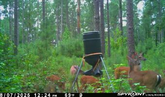 TBD Binnicker Bridge Road, Bamberg, SC 29003