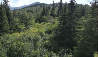 L3 Panoramic Circle, Anchorage, AK 99516
