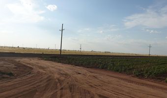 FM 597, Abernathy, TX 79311