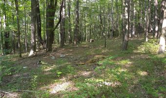 1454 Crane Ln, Woodhull, NY 14801