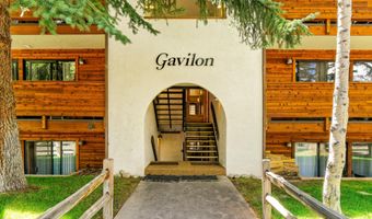 935 E Hopkins Ave 6, Aspen, CO 81611