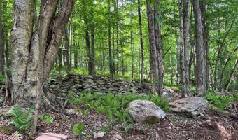 0 Woodland Hills Rd, Andes, NY 13731