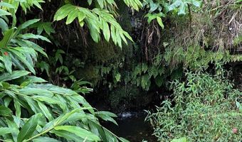 64-550 MAMALAHOA Hwy, Kamuela, HI 96743