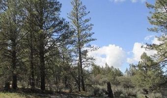 Partin lot 3, Beatty, OR 97621