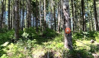 Tunnel Tract Parcel1, Banks, OR 97106
