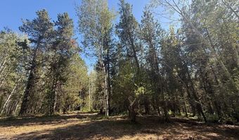 4376 Granite Rdg, Ashton, ID 83420