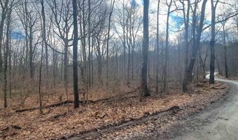 Glade Run Road, Albright, WV 26519