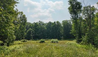 3 38 Acres County F Rd, Antigo, WI 54409