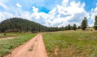 115 Blue Deer Ranch Road B-109, Buena Vista, NM 87712