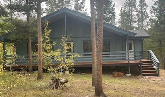 33 N Skinner Rd, Allenspark, CO 80510
