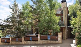 714 S Galena St B, Aspen, CO 81611