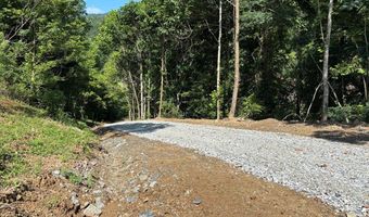 8888 Highway 28, Almond, NC 28702