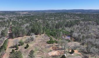 761 Richardson, Amity, AR 71921