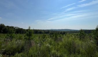 0- Lot 6 Bellview Rd, Appomattox, VA 24522