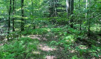 Cr-38, Alma, NY 14708