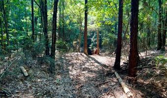 8645 Moores Mill Creek Rd, Baker, FL 32531