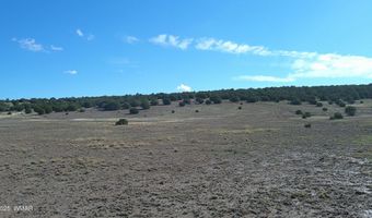 7 N CR 8171, Concho, AZ 85924