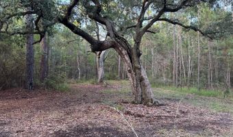 Lower Bay Road, Bay St. Louis, MS 39520