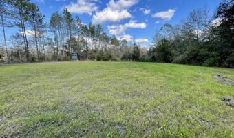 0 George Ford Rd, Carriere, MS 39426