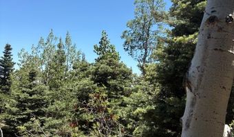 Spanish Peaks Dr, Aguilar, CO 81020