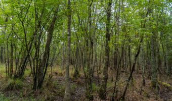 Val Del Road, Adel, GA 31620