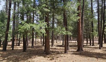 15 County Road 2065, Alpine, AZ 85920